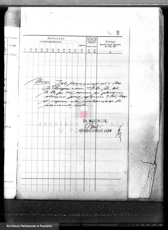 Obraz 7 z jednostki "Plan urządzenia gospodarstwa leśnego dla lasu majętności Nowy Dwór w powiecie nowotomyskim 1930-1940"