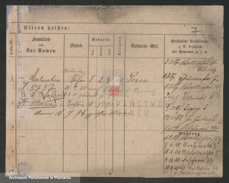 Obraz 7 z jednostki "Kujawiak - Kulas"