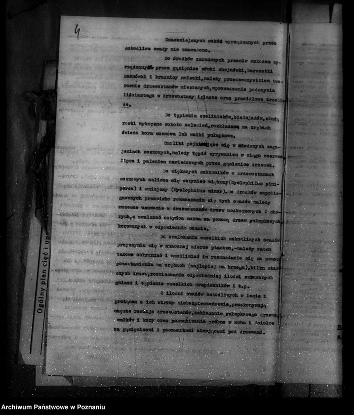 Obraz 8 z jednostki "Majętność Ujazd Rewir Ujazd powiat kościański /Plan urządzania gospodarstwa leśnego/"