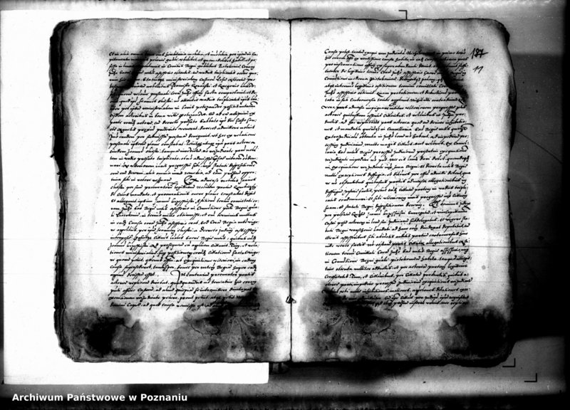 Obraz 13 z jednostki "Decreta iudicii et officii [inducta]"