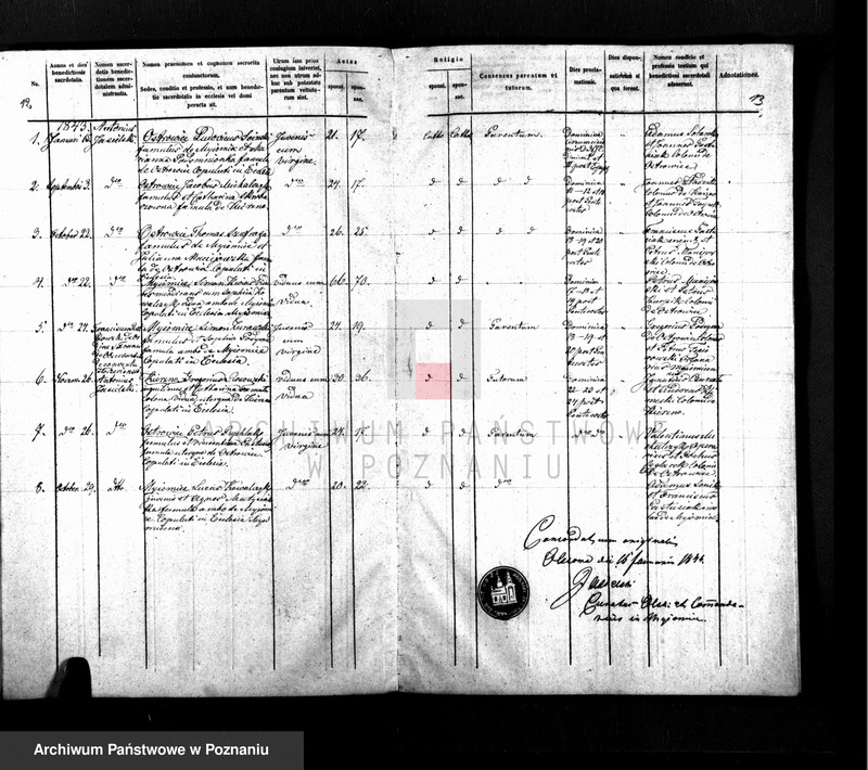 Obraz 10 z jednostki "Duplikat baptisatorum, copulatorum, mortuorum"