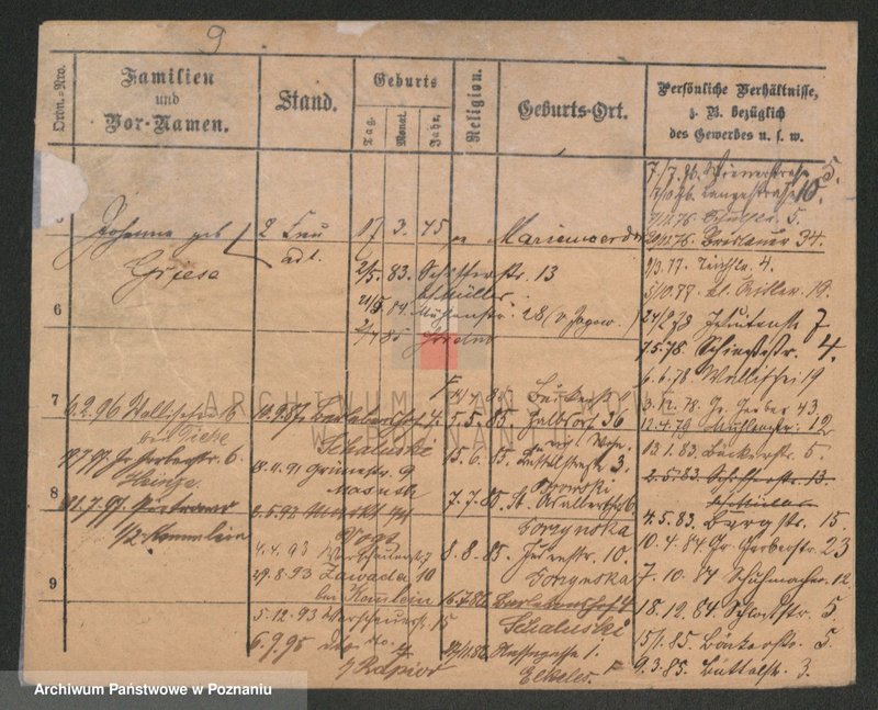 Obraz 9 z jednostki "Kawecki - Kaźmierczak (żonaci)"