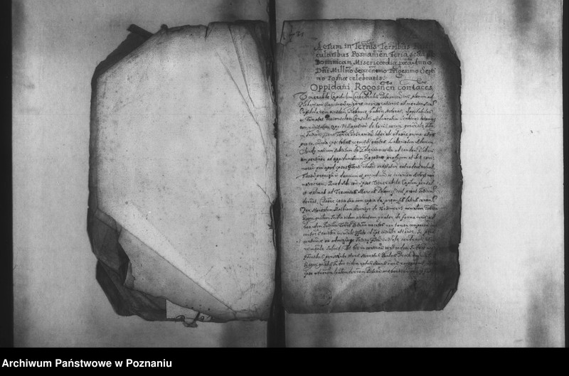 Obraz 5 z jednostki "Decreta [inducta]"