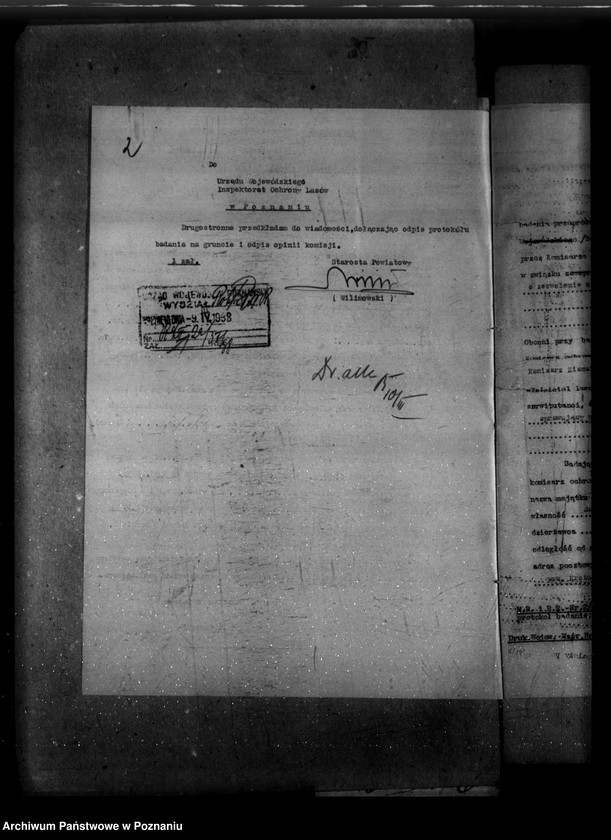 Obraz 6 z jednostki "Las majętności Dzierzanów powiat krotoszyński"