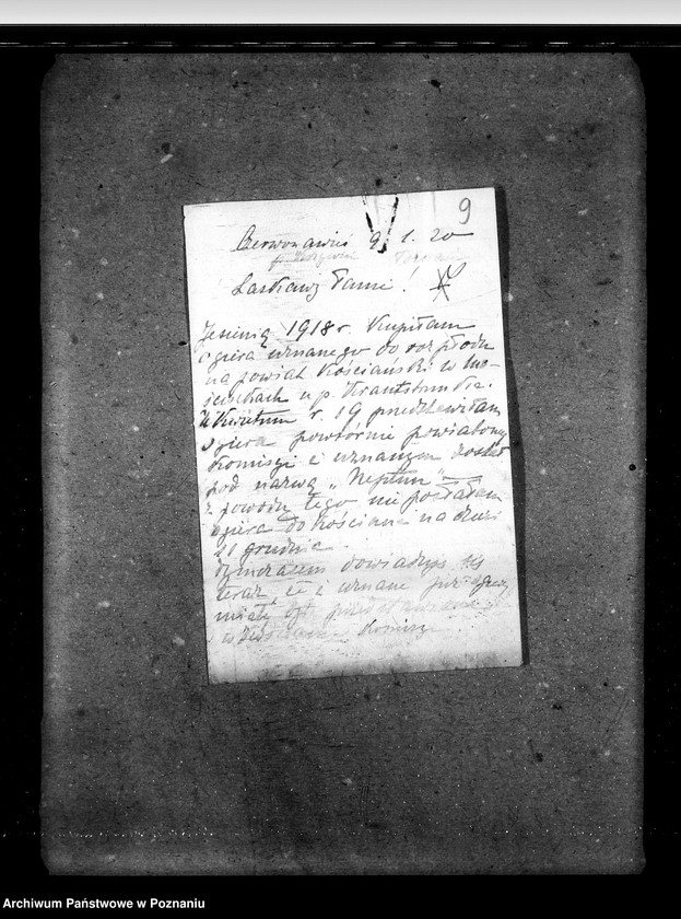 image.from.unit.number "Sprawy stadnin ogiery nielicencjonowane"