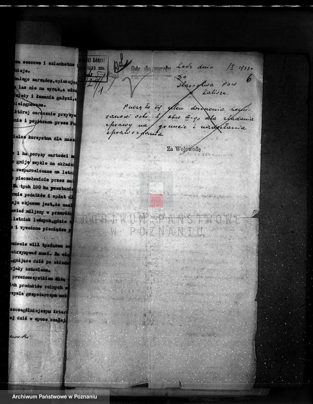 Obraz 10 z jednostki "Częściowa zmiana rodzaju użytkowania 5,83 ha gruntów leśnych w majątku Zalesin powiat turecki"