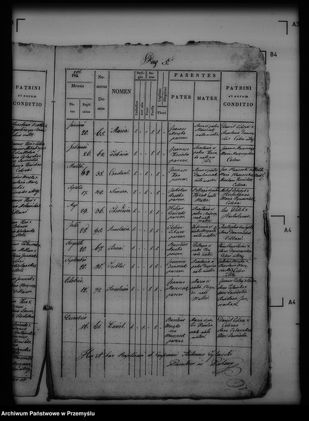 Obraz 9 z jednostki "[Kopie ksiąg metrykalnych parafii Puławy (dekanat Buków)]"