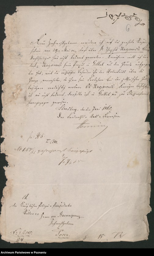 Obraz 10 z jednostki "A. betr. Theofil von Kaczorowski /Koczorowski/"