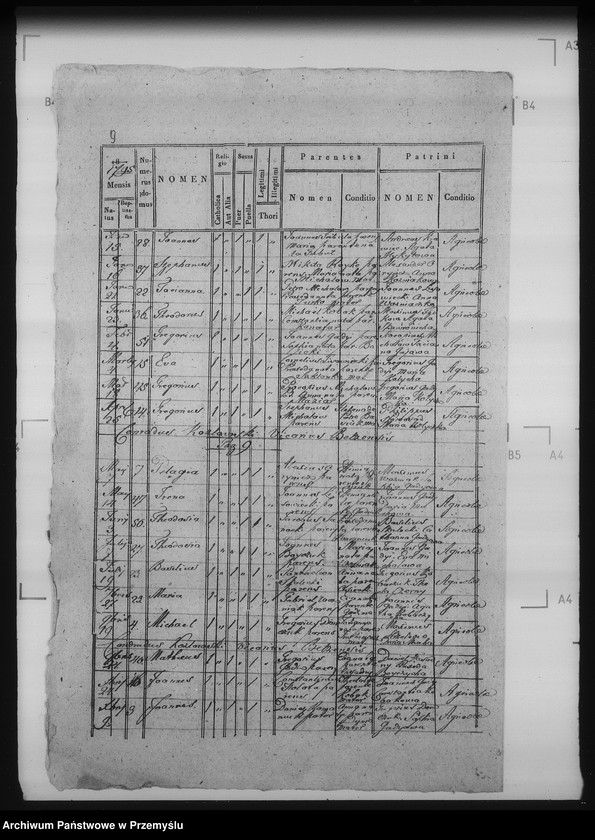 Obraz 13 z jednostki "[Kopie ksiąg metrykalnych parafii Bełz z filiami Prusinów, Tuszków, Witków (dekanat Bełz)]"