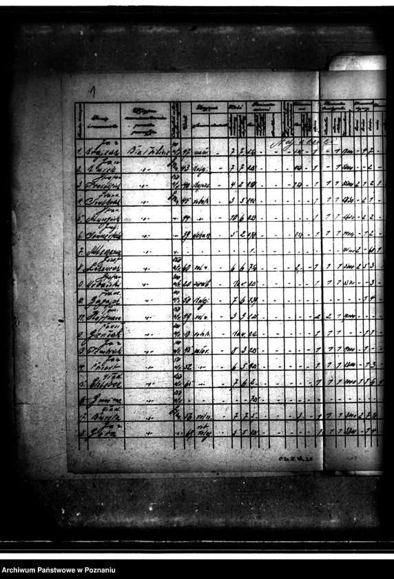 Obraz 5 z jednostki "Wykaz zgłoszeń na nabycie ziemi z parcelacji majątku Białośliwie"