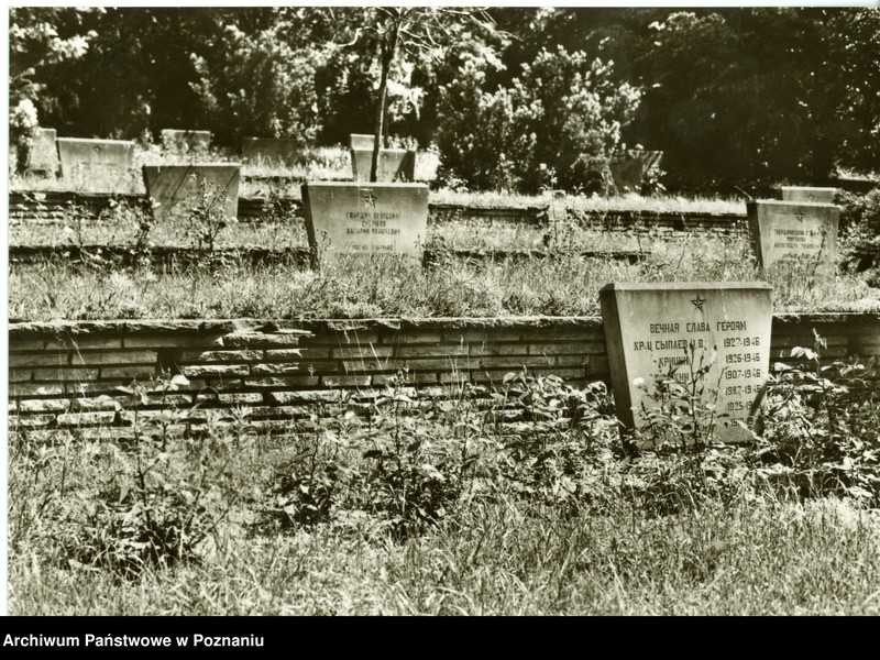 Obraz 1 z jednostki "Poznań - Cytadela Poznańska - Cmentarz żołnierzy radzieckich poległych w walkach o wyzwolenie Poznania w 1945 roku"