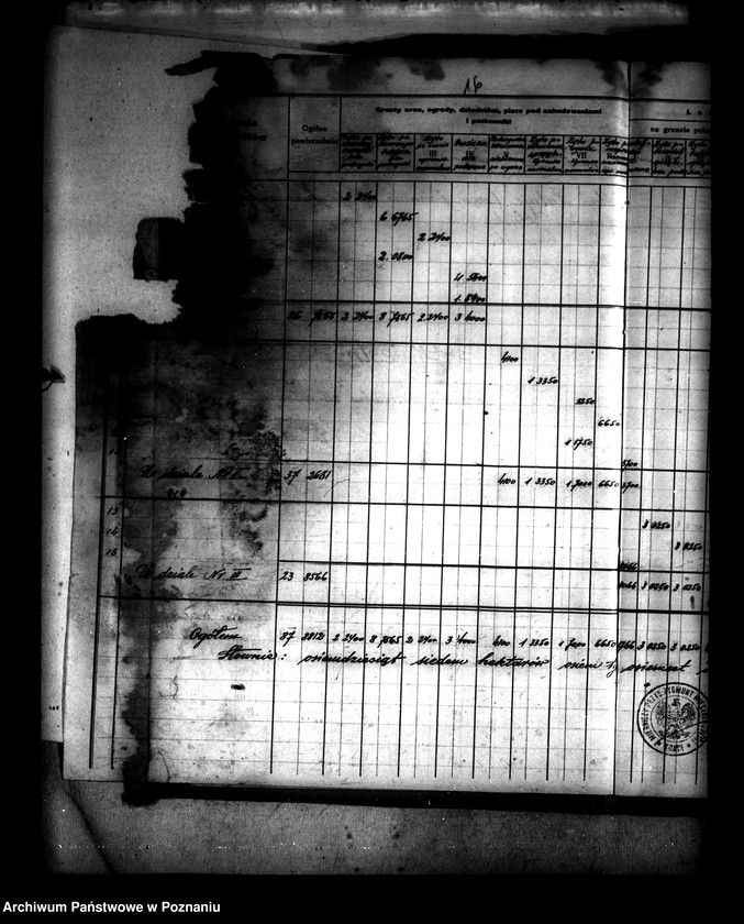 Obraz 20 z jednostki "Administracja przejściowa majątku Rataje powiatu konińskiego"