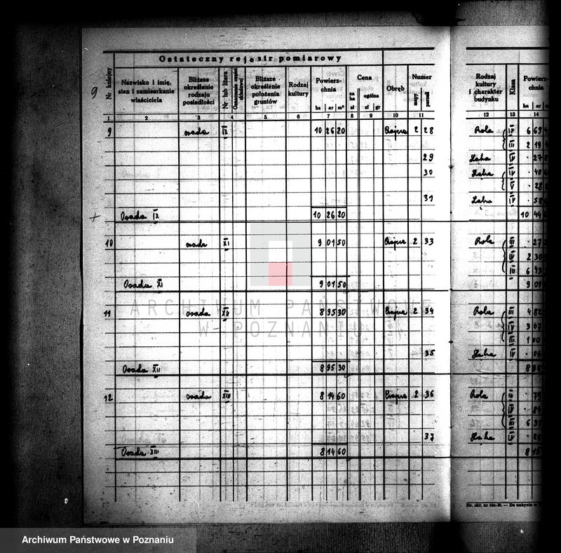 Obraz 13 z jednostki "Ostateczny rejestr pomiarowy gromady Czajcze powiatu wyrzyskiego"