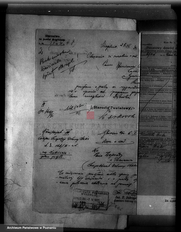 Obraz 6 z jednostki "Majętność /leśna/ Szczeglin Dąbrówka w powiecie mogileńskim"