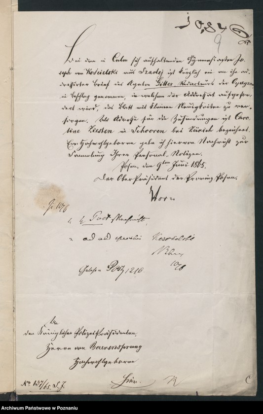 Obraz 12 z jednostki "A. betr. Boleslaus von Kościelski /auch Ludwig, Anton und Adam/"