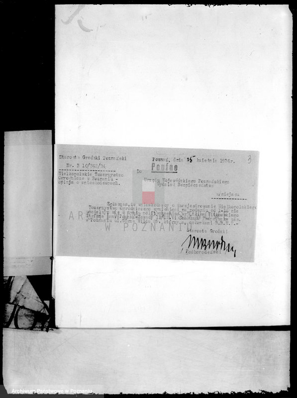 Obraz 7 z jednostki "Wielkopolskie Towarzystwo Ogrodnicze w Poznaniu"