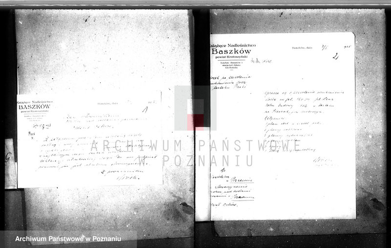 image.from.unit.number "Tartak Olg. Czartoryskiego w Piaskach, pow. krotoszyński nr woj. kotła 5787"