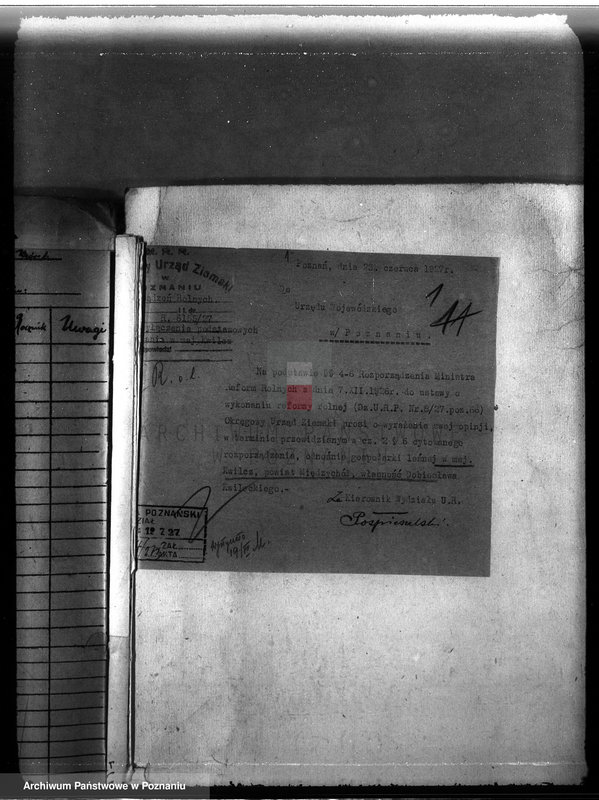 Obraz 5 z jednostki "Majętność leśna w Kwilczu w powiecie międzychodzkim"