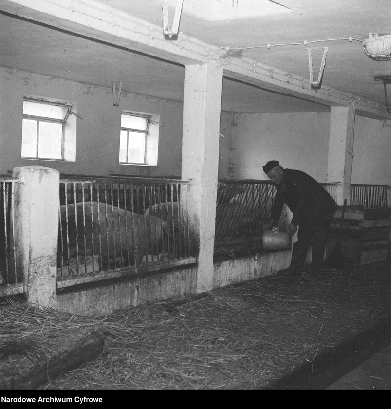 image.from.unit.number "Spółdzielnia Kółek Rolniczych w Siemyślu"