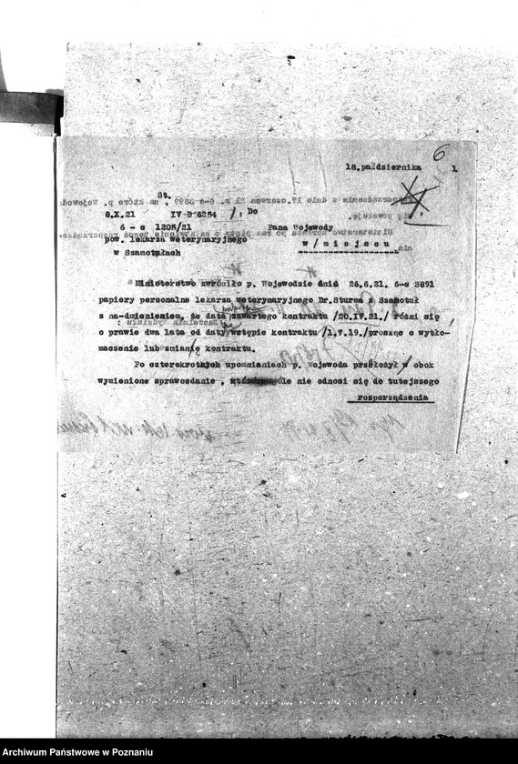 Obraz 10 z jednostki "Pow. lekarz Weterynaryjny Szamotuły"