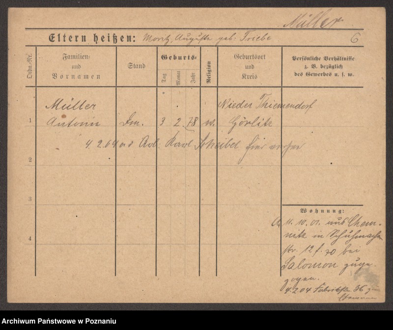 Obraz 8 z jednostki "Müller (samotne kobiety)"