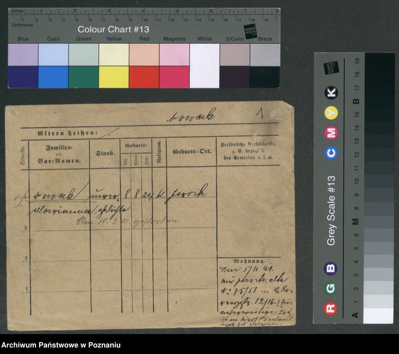 Obraz 3 z jednostki "Nowak Maria - Urszula (samotne kobiety)"