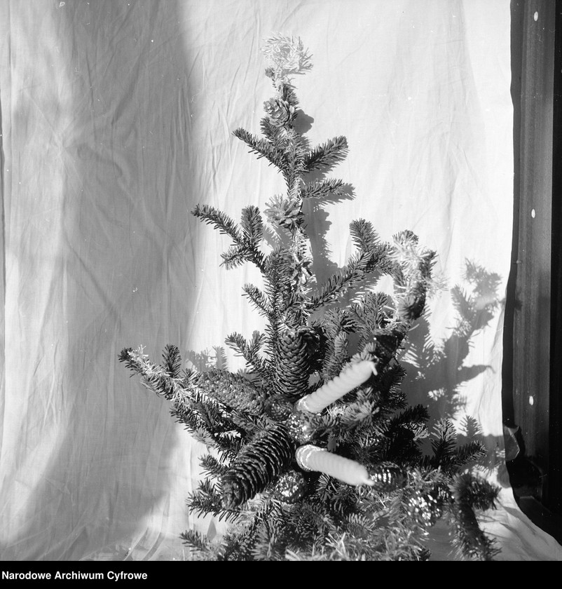 image.from.unit.number "Dekoracje bożonarodzeniowe"