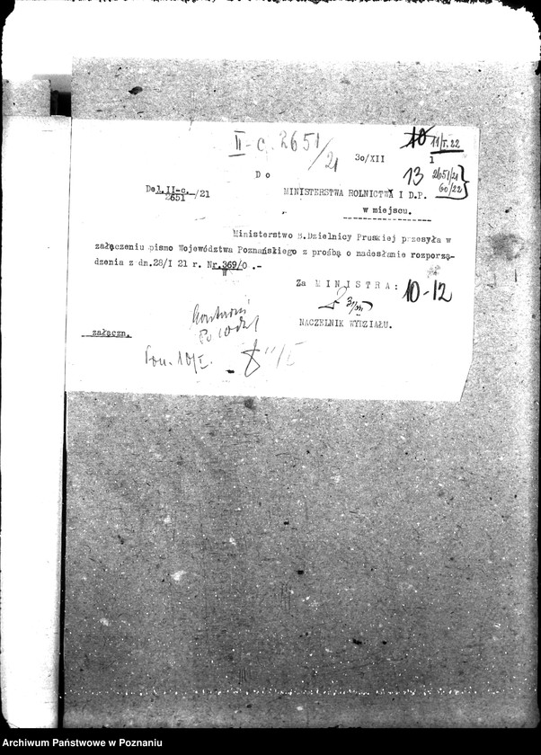 Obraz 17 z jednostki "Weterynaria"