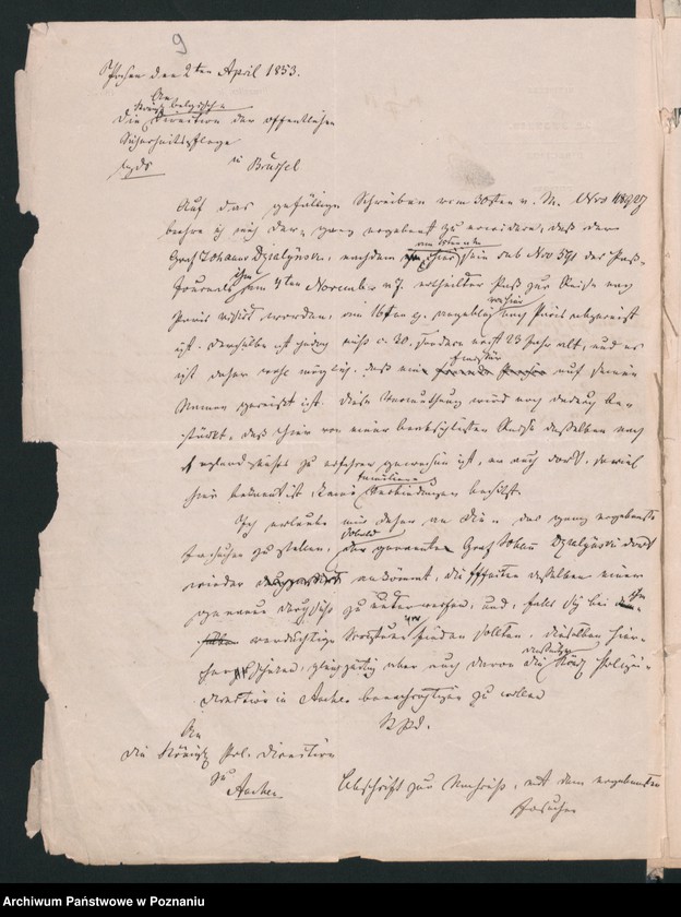 Obraz 12 z jednostki "A. betr. die Gräfliche Familie Działyński, besonders die Grafen Titus und Johann"