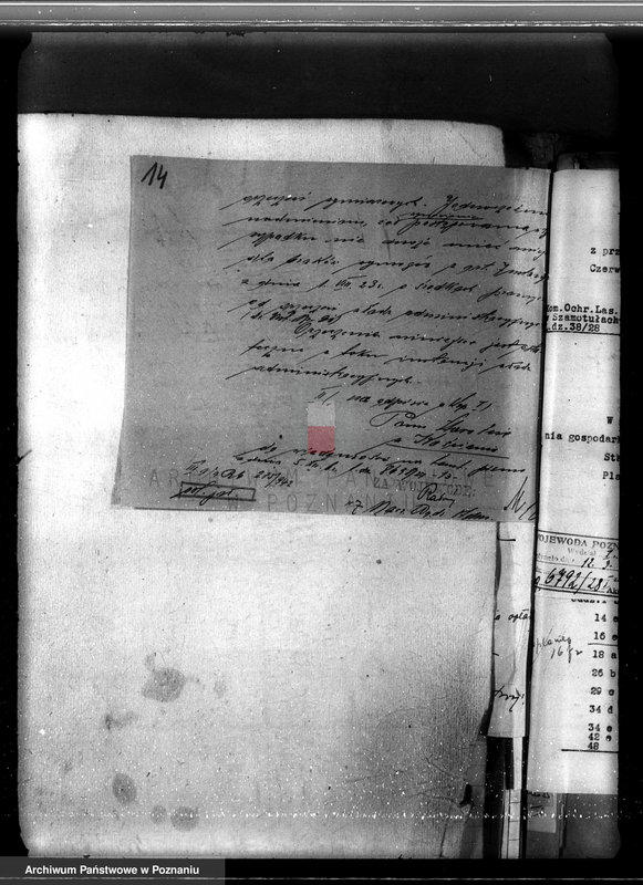 Obraz 18 z jednostki "Nadzór nad gospodarką w lasach majętności Czerwona-Wieś powiat kościański"