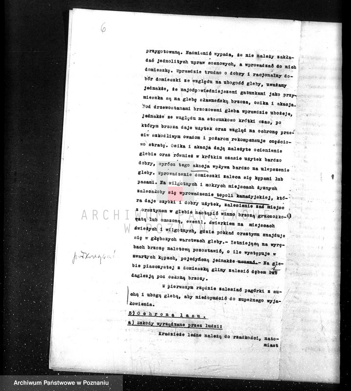 Obraz 10 z jednostki "/Opis lasu majętności Sławno w powiecie czarnkowskim/"