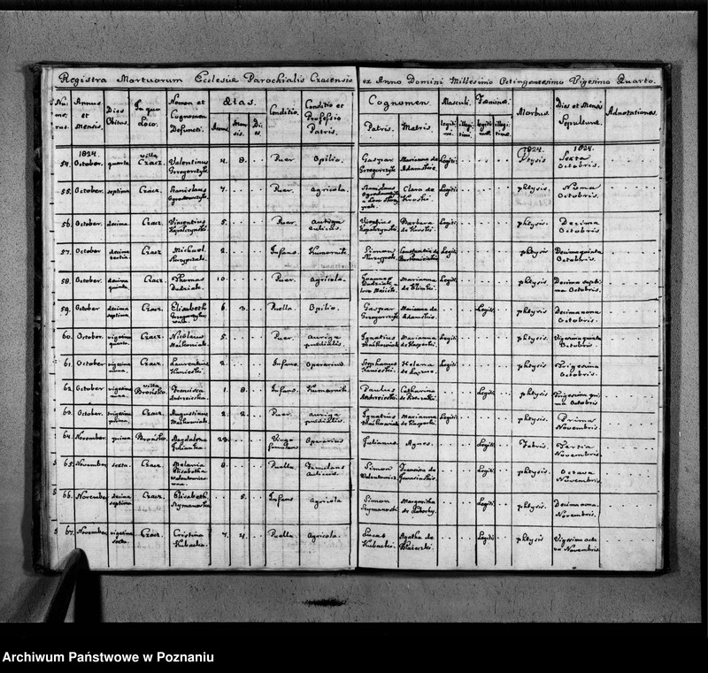 image.from.unit.number "Akta urodzeń, małżeństw, zgonów"