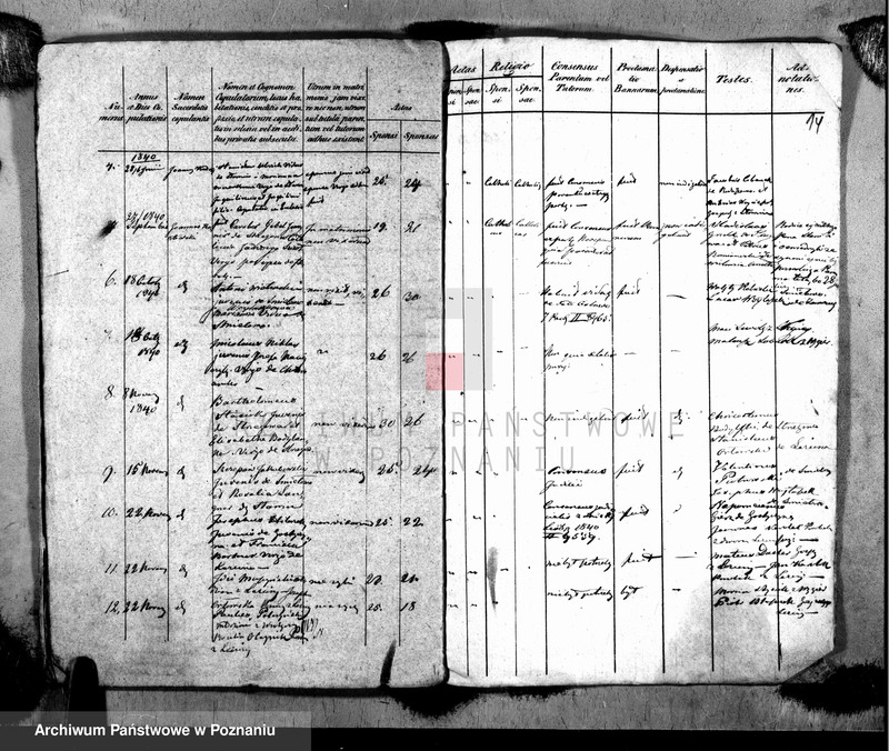 image.from.unit.number "Metrices copulatorum"