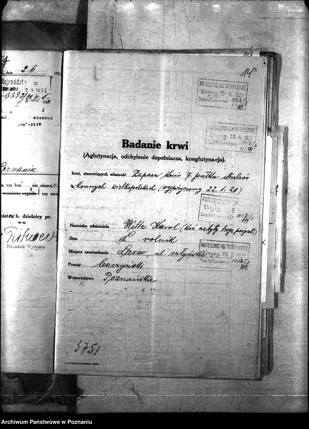 Obraz 17 z jednostki "Nosacizna - Leszno"