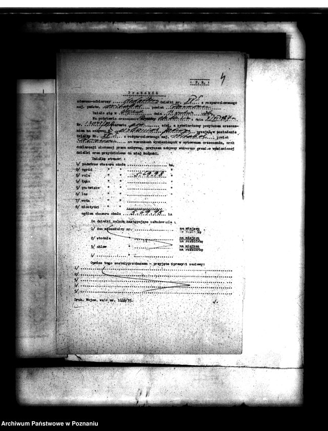 Obraz 8 z jednostki "Parcelacja lasu Witobel XV powiatu poznańskiego Jadwiga Urbaniak"