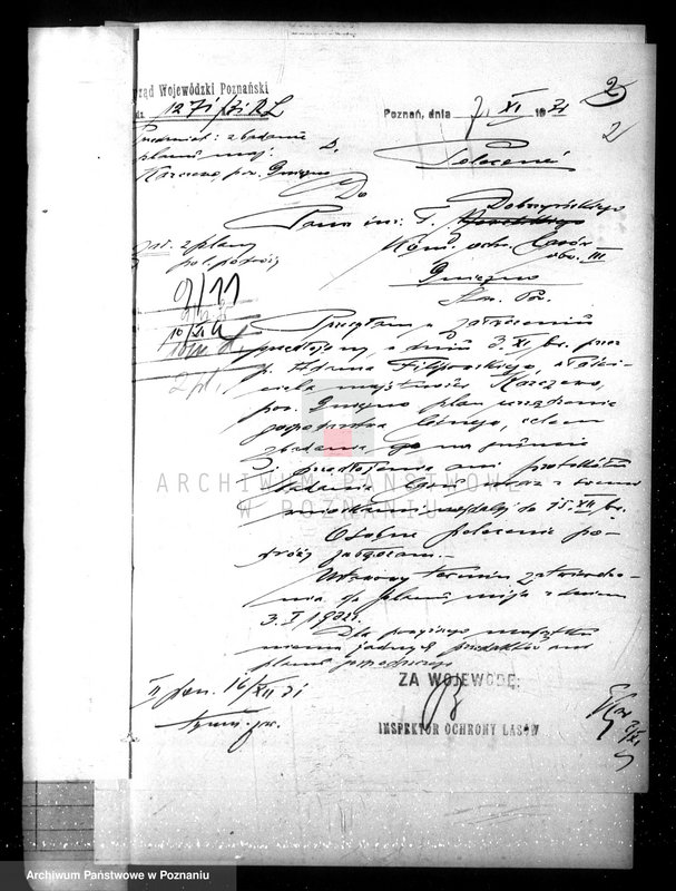 Obraz 6 z jednostki "Nadzór nad gospodarką w lasach majątku Karczewo powiecie gnieźnieńskim"