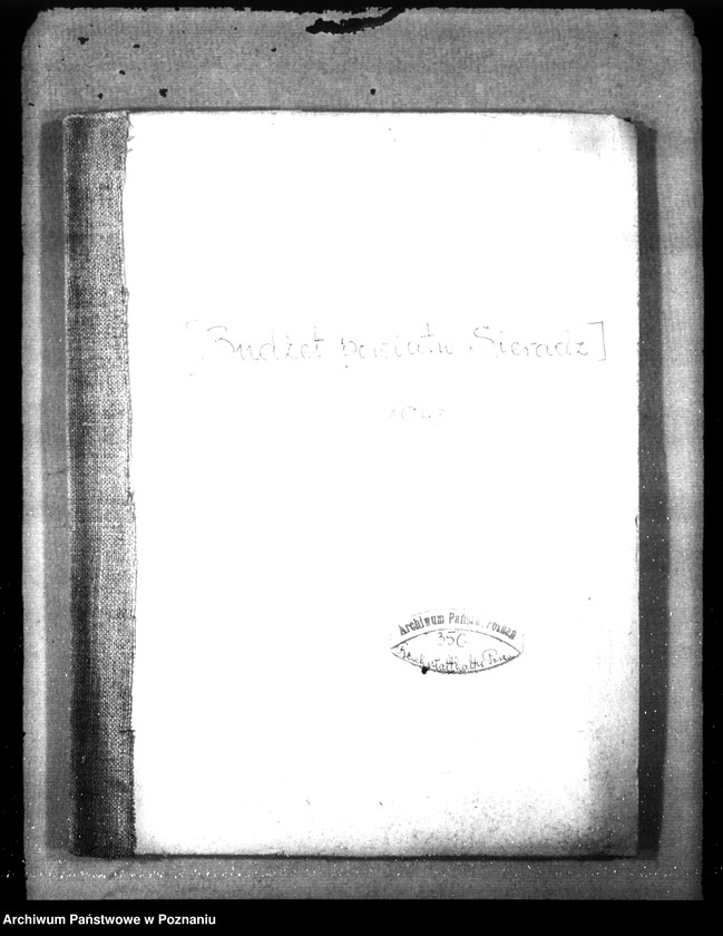 Obraz 4 z jednostki "Budżet powiatu Sieradz"