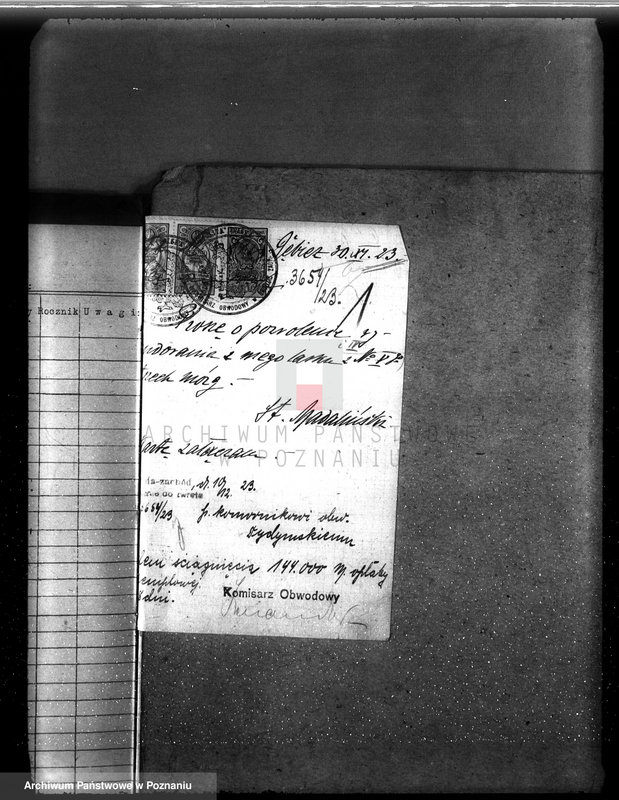 Obraz 5 z jednostki "Nadzór nad gospodarką w lasach majętności Dębicz powiat średzki"