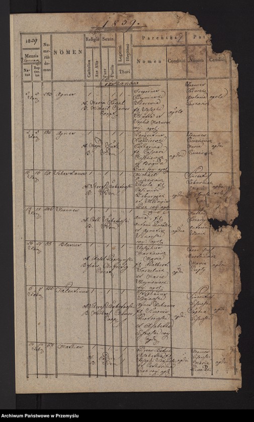 Obraz z jednostki "Copia metrices natorum ex anno 1839  [Kopia metryki urodzeń z roku 1839]"