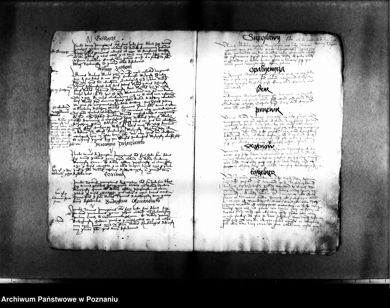 Obraz 17 z jednostki "Resignationes ,inscriptiones, relationes, decreta [protocollon]"