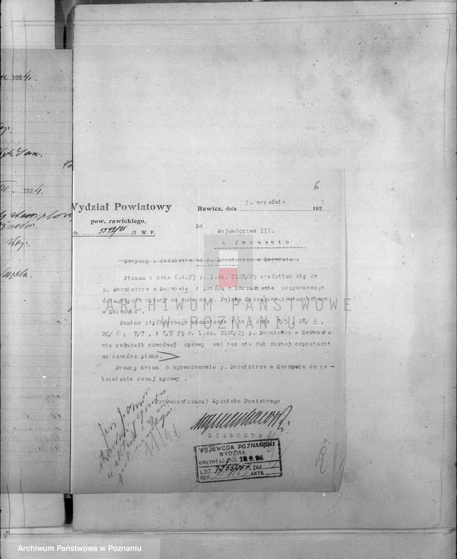 Obraz 10 z jednostki "Różności miasta Sarnowy"