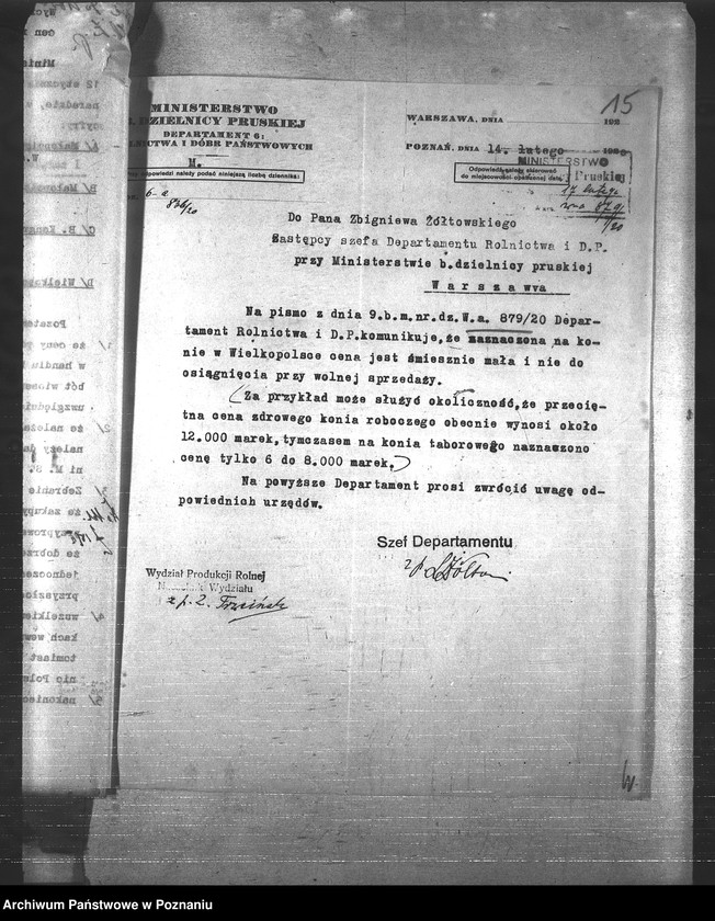 Obraz 19 z jednostki "Konie"