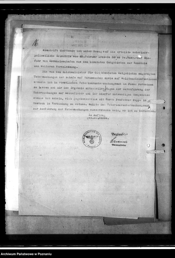 Obraz 20 z jednostki "Einfuhr von Karakulschafen aus den Besetzten Ostgebieten"