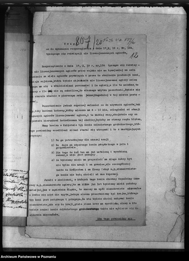 Obraz 16 z jednostki "Rekwizycje koni"