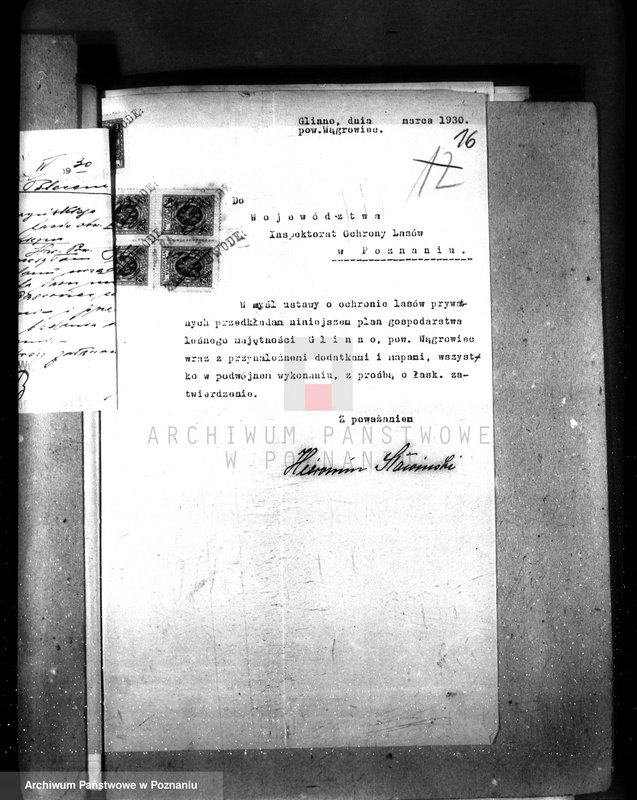 Obraz 20 z jednostki "Majętność leśna Glinno powiat wągrowiecki"