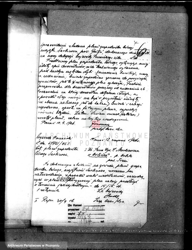 Obraz 10 z jednostki "Majętność leśna Sarbinowo w powiecie gostyńskim"