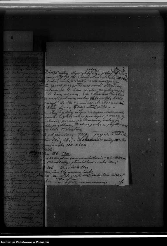 Obraz 12 z jednostki "Zarząd majętności /leśnej/ Szreniawa powiat poznański"