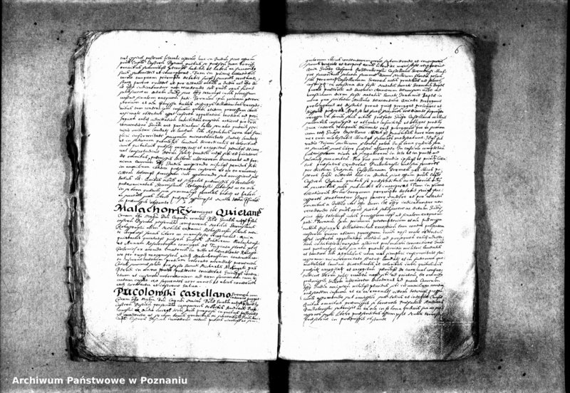 Obraz 13 z jednostki "Inscriptiones [inducta]"