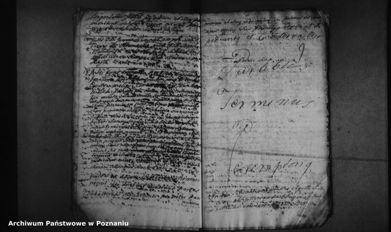 Obraz 12 z jednostki "Decreta officii [protocollon]"