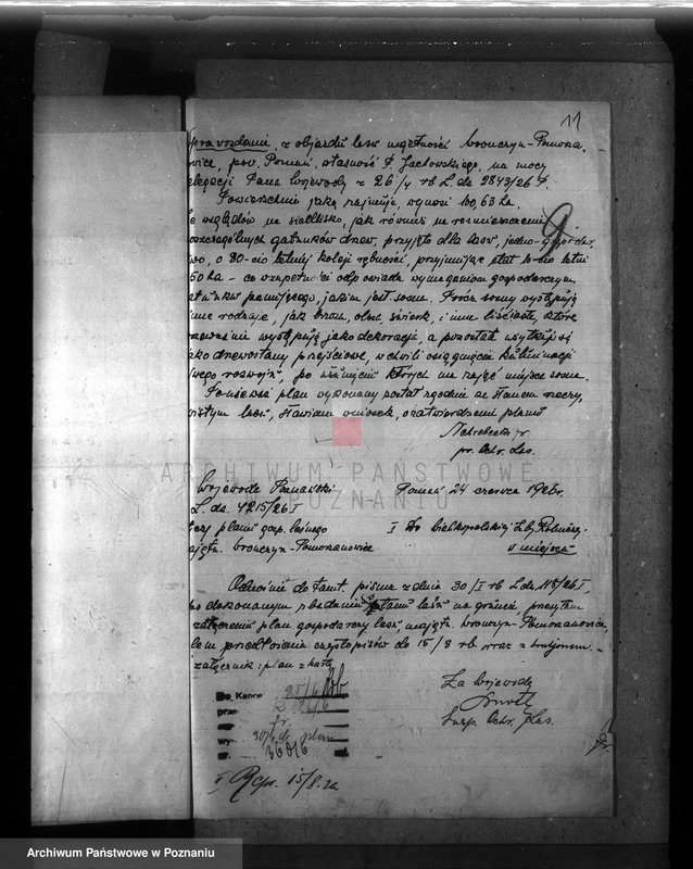 Obraz 14 z jednostki "Majętność leśna Wronczyn-Pomarzanowice powiat poznański"